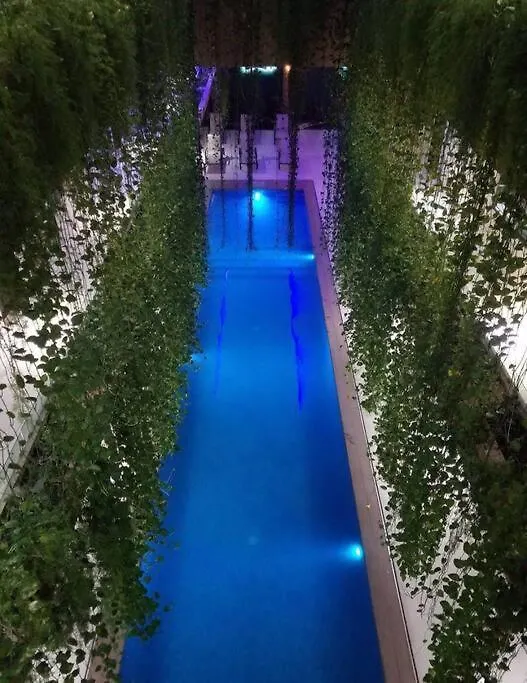 Moderno 1Br Sauna Gimnasio Alberca A Cuadras De La 5Ta Av Centro Playa del Carmen Mexico