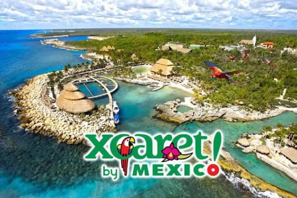 Moderno 1Br Sauna Gimnasio Alberca A Cuadras De La 5Ta Av Centro Playa del Carmen 0*,  Mexiko